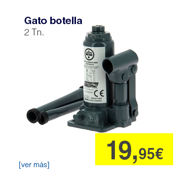 Gato botella