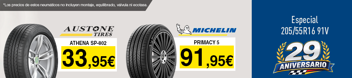 Neumáticos 205/55R16 91V