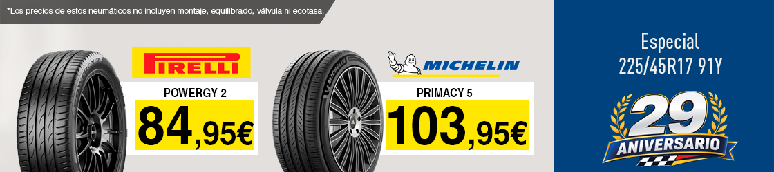 Neumáticos 225/45R17 91Y
