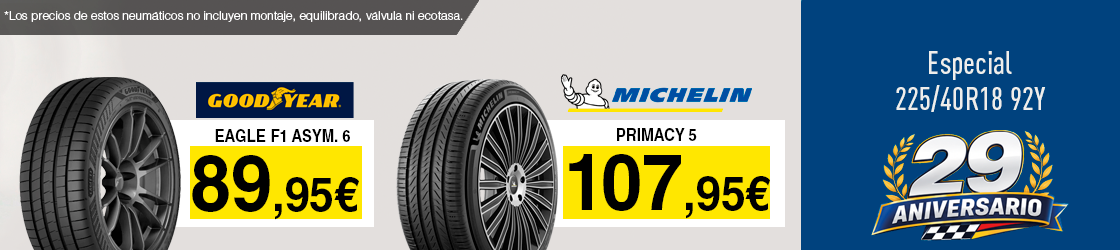 Neumáticos 225/40R18 92Y