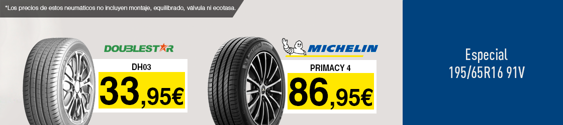 Neumáticos 195/65R16 91V